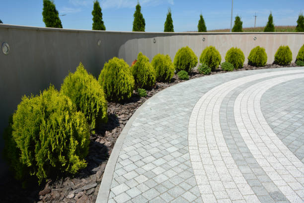 Reasons to Select Us for Your Driveway Paving Requirements in Waipio, HI